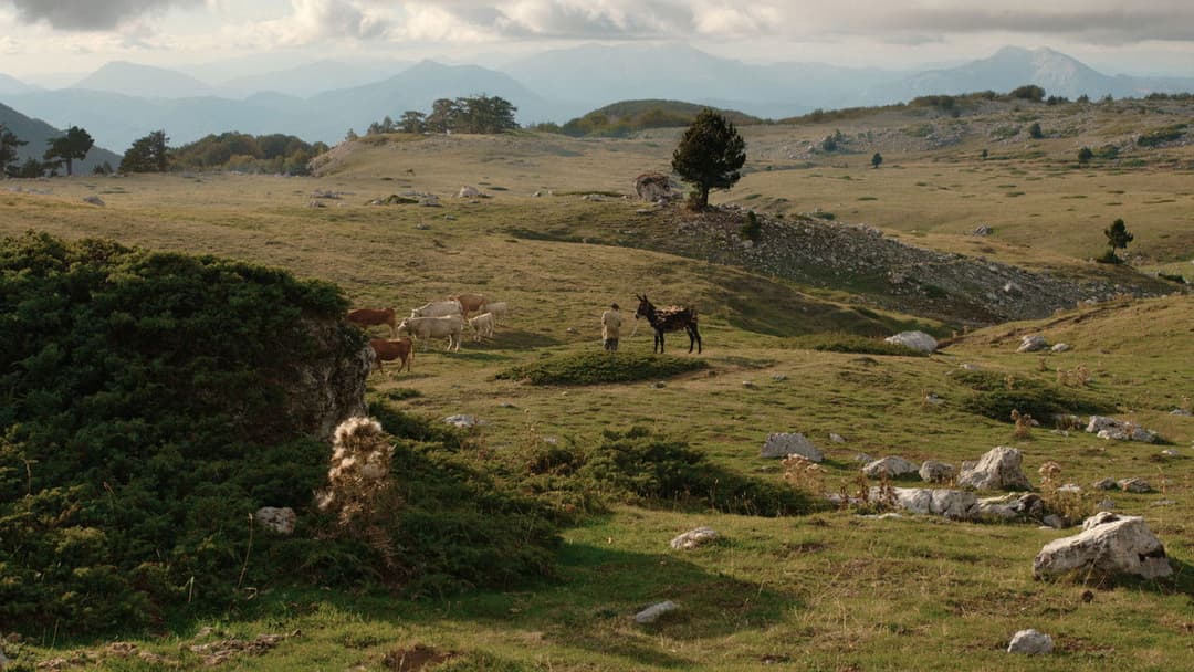 Діра backdrop 12