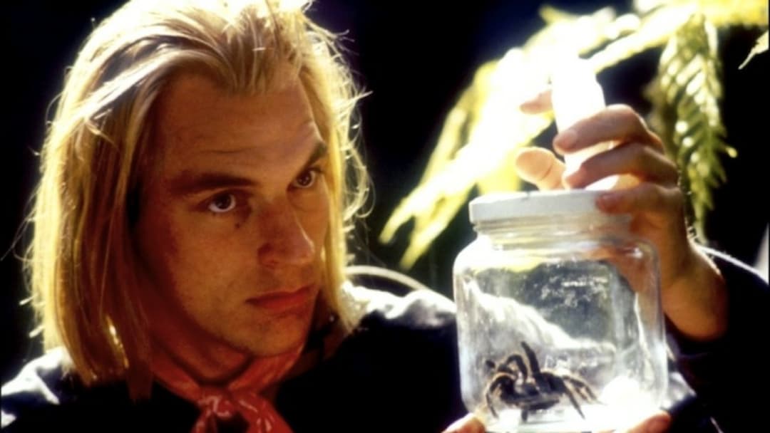 Arachnophobia backdrop 2