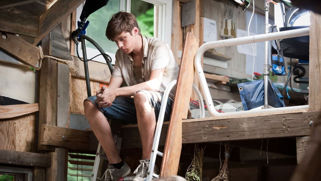 Kings of Summer backdrop 10