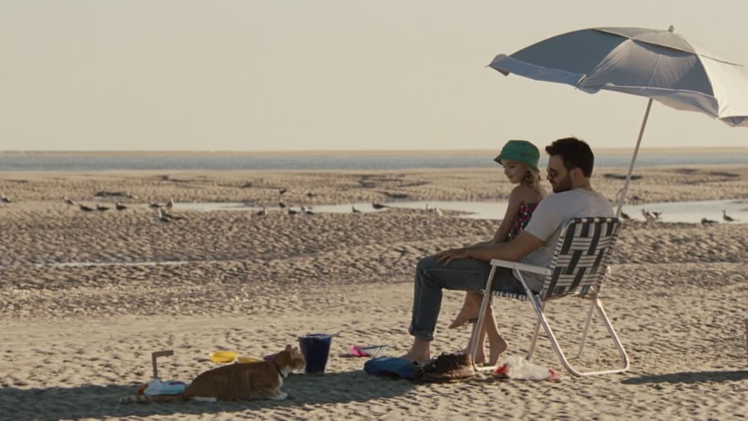 Обдарована backdrop 11