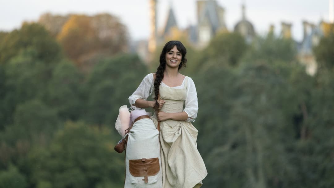 Cinderella backdrop 9