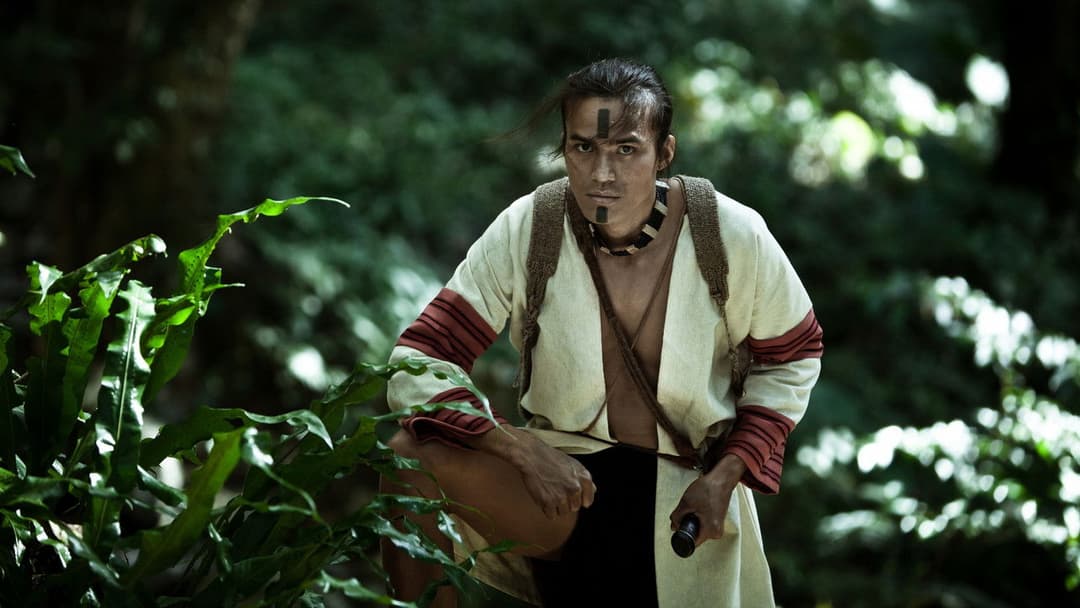 Warriors of the Rainbow backdrop 2