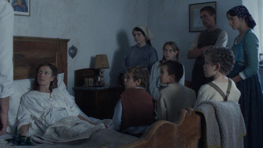 Вермільйо backdrop 20