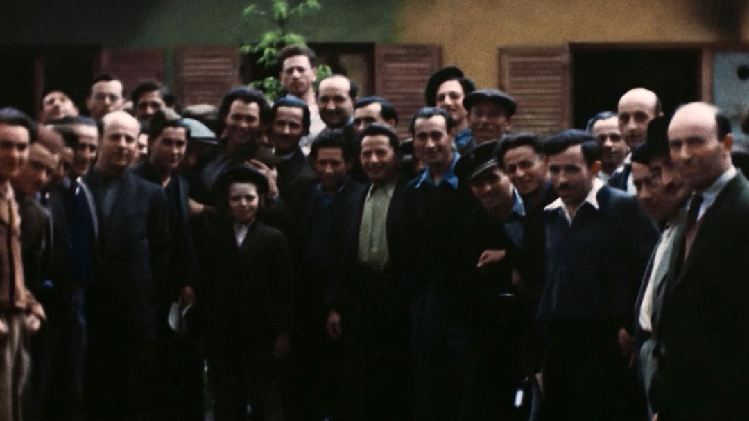 Les survivants, l'impossible départ après la Shoah backdrop 8