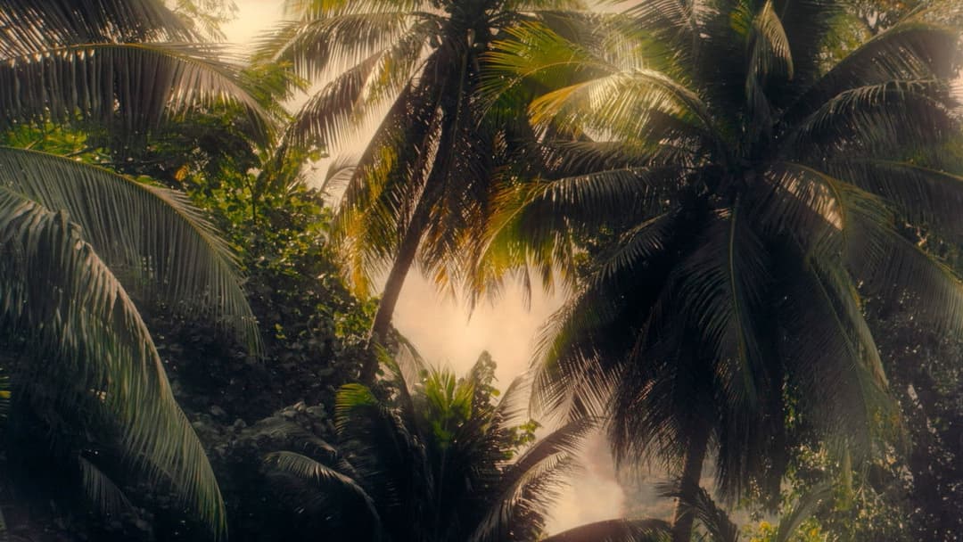 Pacifiction backdrop 6