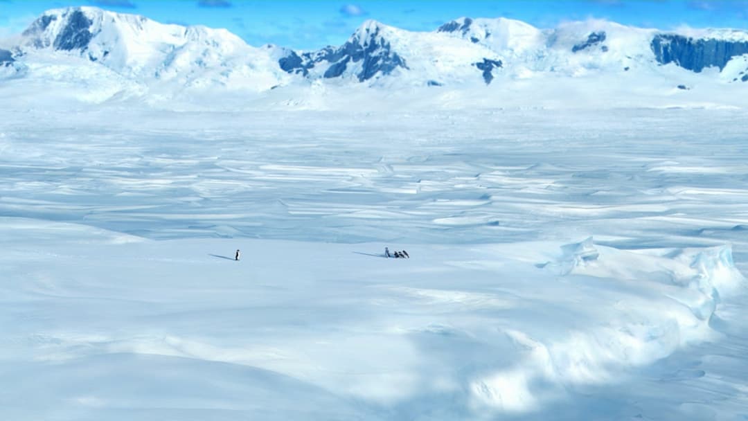 Веселі ніжки backdrop 15