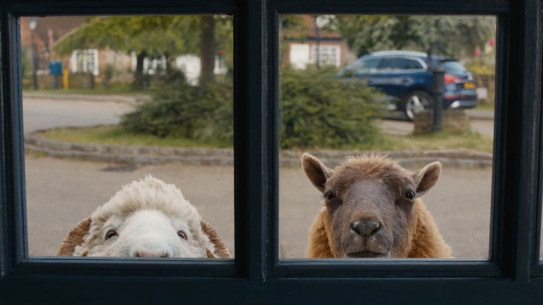 The Sheep Detectives backdrop 2