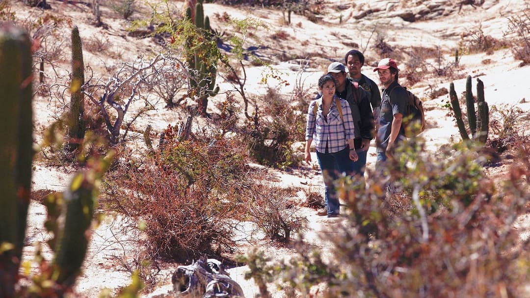 Desierto - Tödliche Hetzjagd backdrop 5