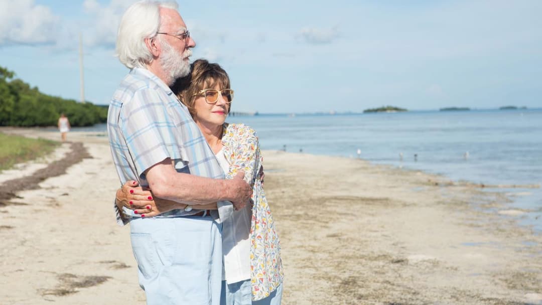 У пошуках свята backdrop 3