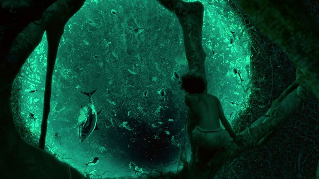 Life of Pi - Schiffbruch mit Tiger backdrop 17