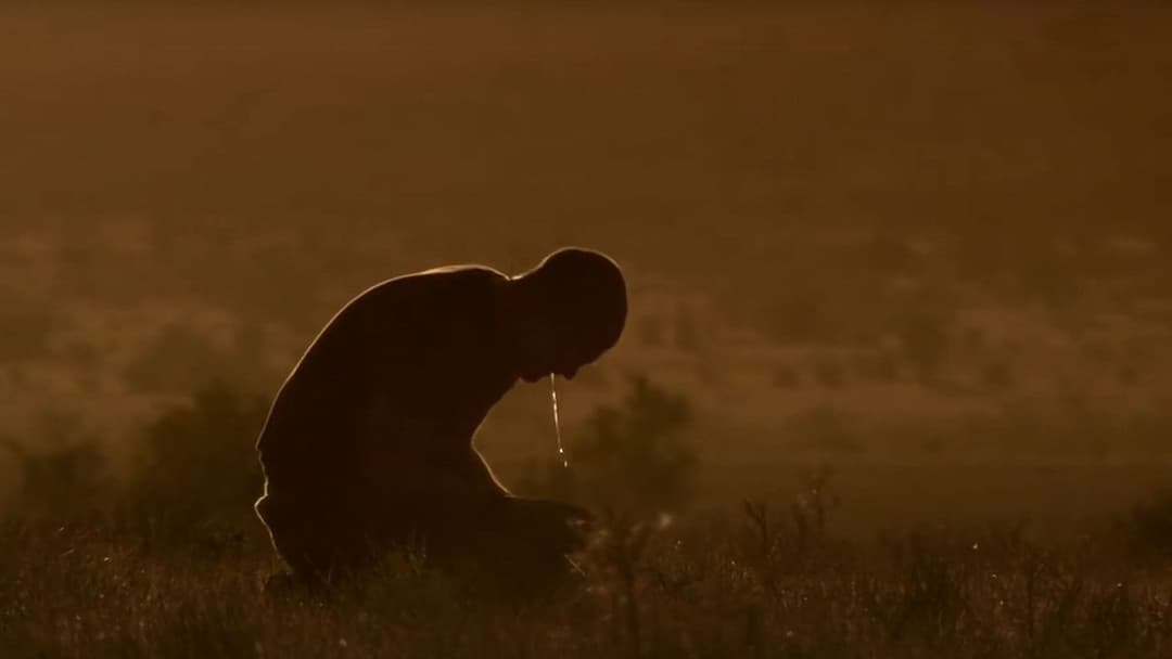 Вовча яма backdrop 9