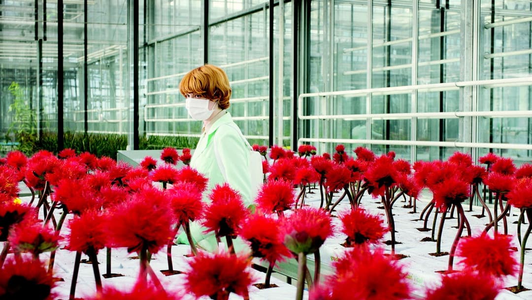 Малюк Джо backdrop 2