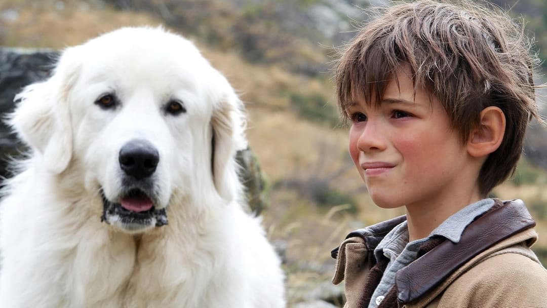 Белль і Себастьян backdrop 11