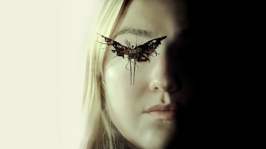 Наглядачі backdrop 5