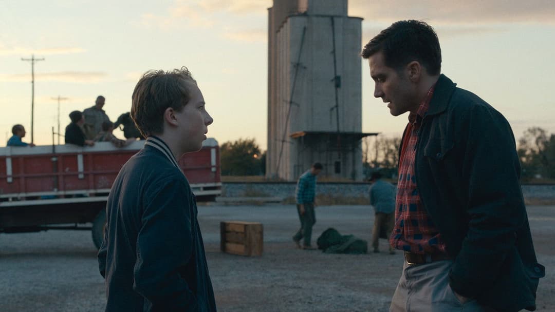 Wildlife backdrop 12