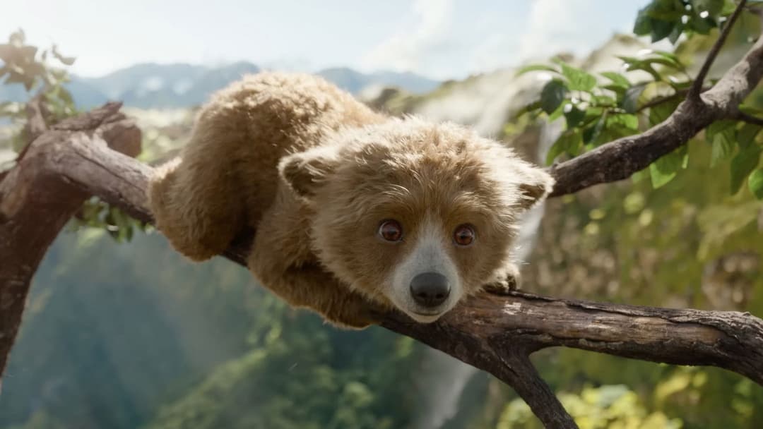 Пригоди Паддінґтона в Перу backdrop 16