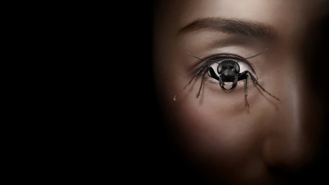 Control Freak backdrop 2