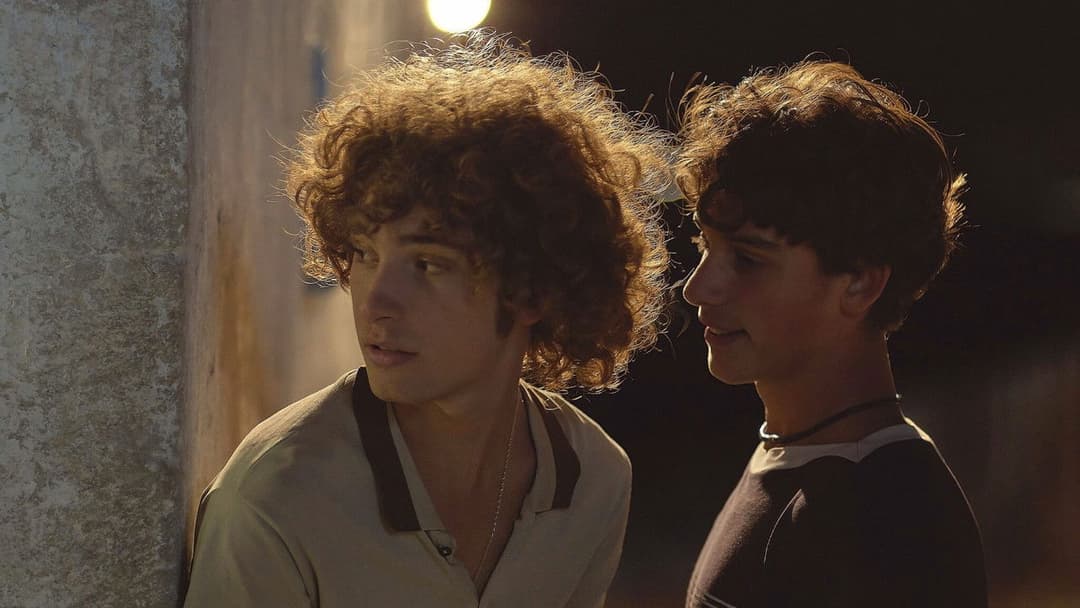 Fireworks backdrop 12