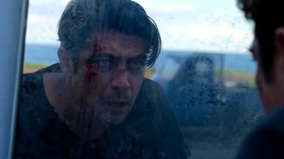 Verschwunden in die Nacht backdrop 6