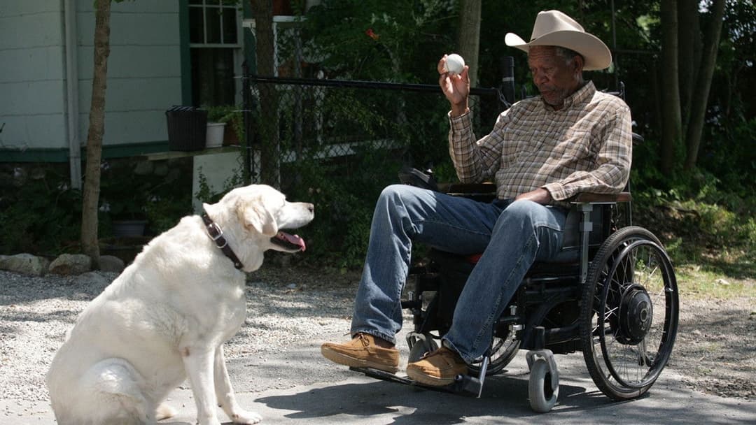 The Magic of Belle Isle - Ein verzauberter Sommer backdrop 3