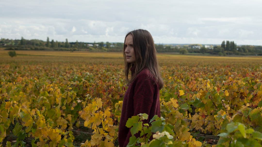 Der Wein und der Wind backdrop 7