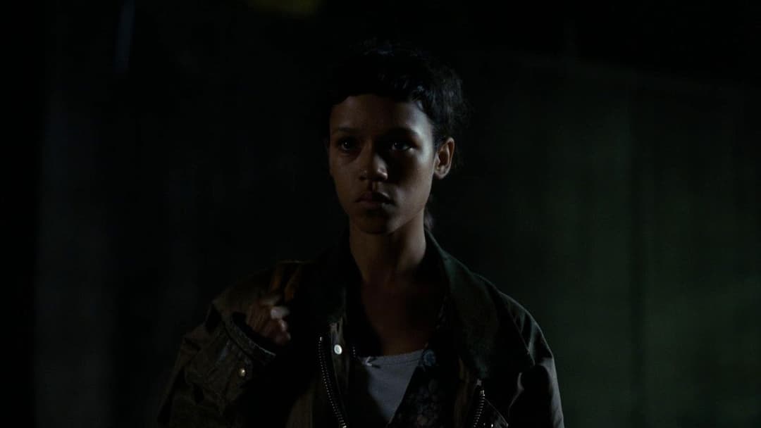 Bones and All backdrop 17