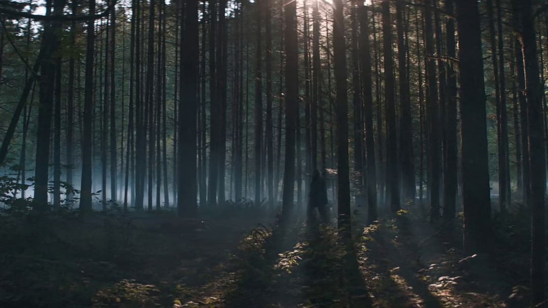 Свиня backdrop 12