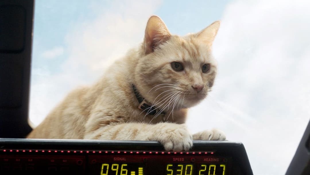 Captain Marvel backdrop 17