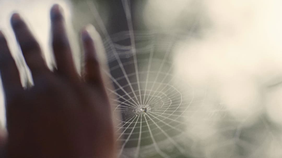 Die Nickel Boys backdrop 17