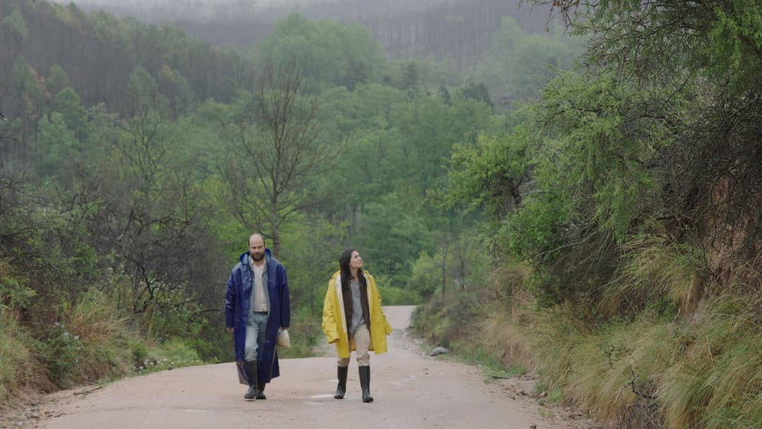 Die Missetäter backdrop 13