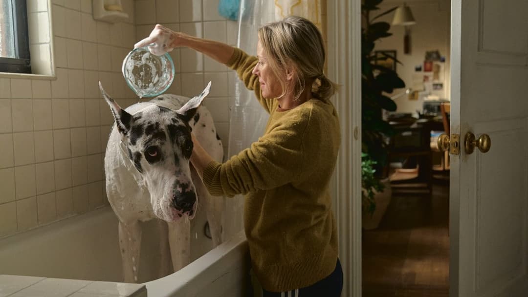 Loyal Friend backdrop 5