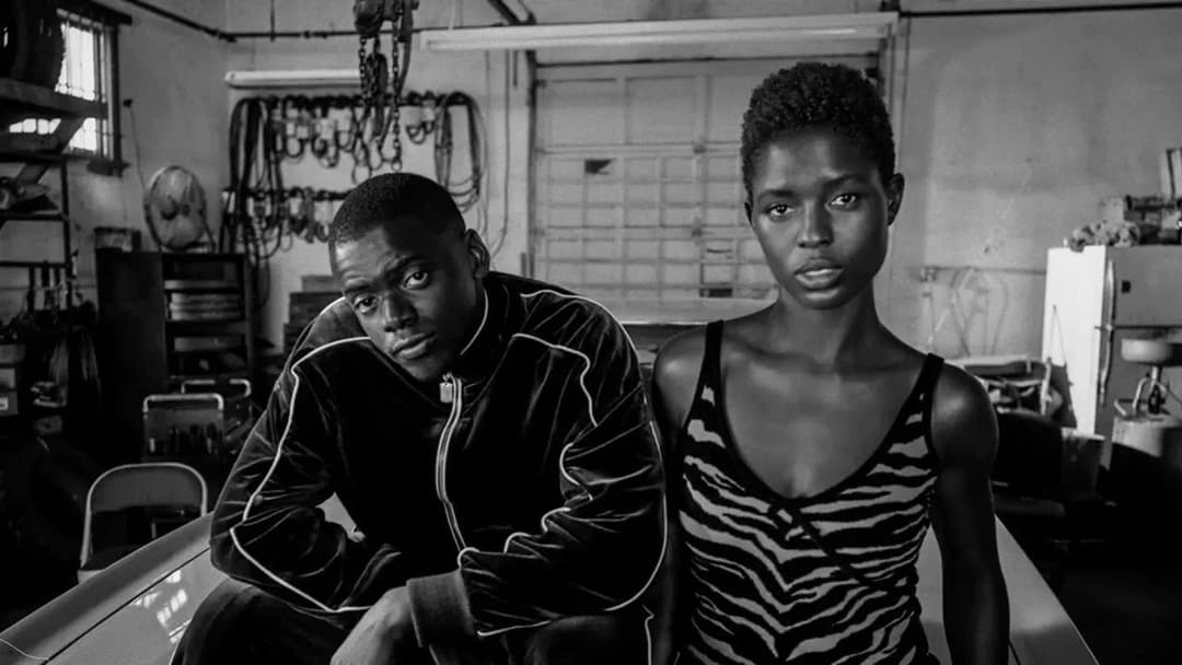 Queen & Slim backdrop 4