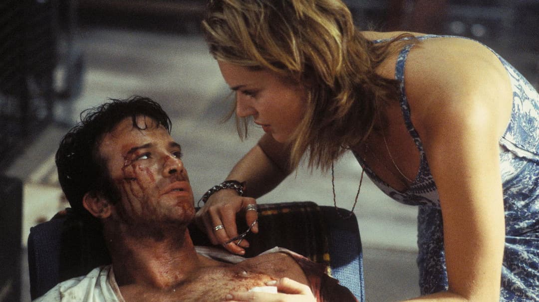 The Punisher backdrop 7