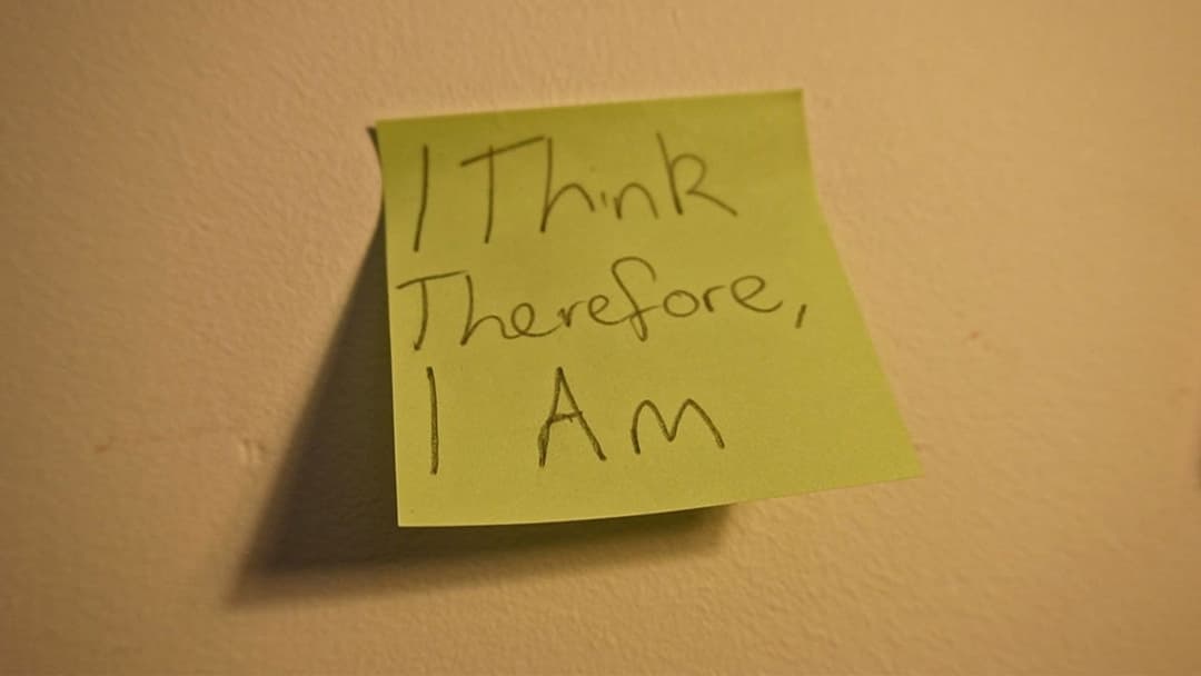 I Think, Therefore I Am backdrop 1