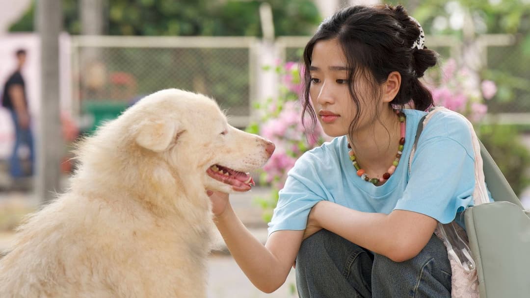 โกฮัง..หัวใจโกโฮม backdrop 2