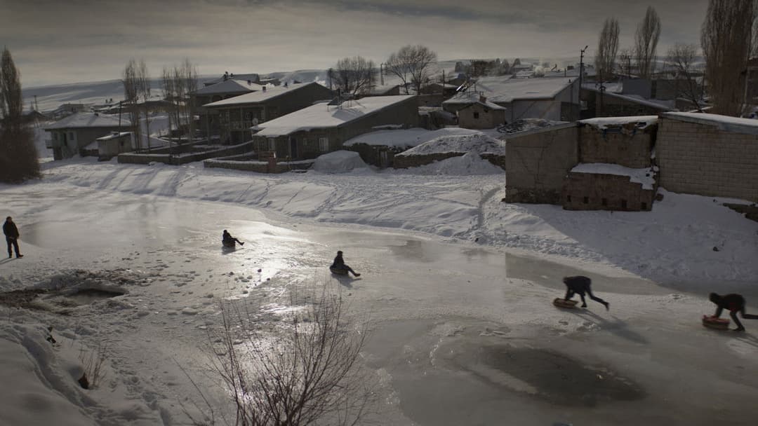 Про траву, що засихає backdrop 5