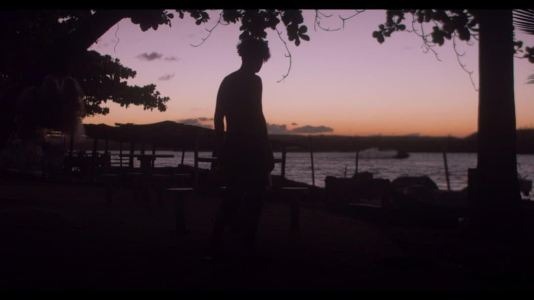 Se isso é cinema, me desculpe backdrop 2