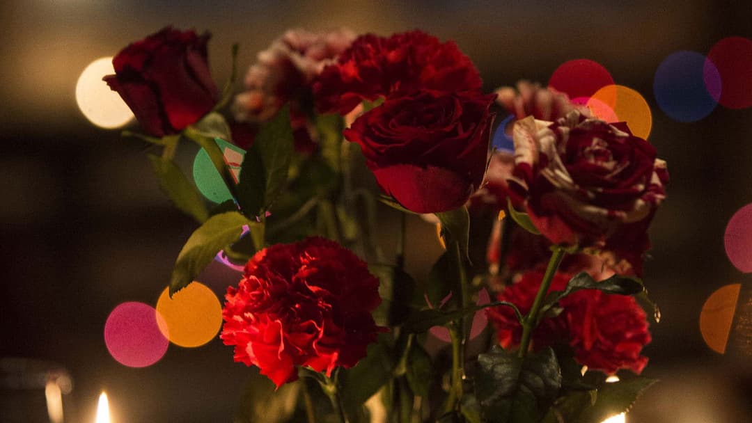 Berlin Syndrom backdrop 8