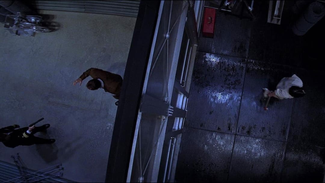 Очі змії backdrop 15