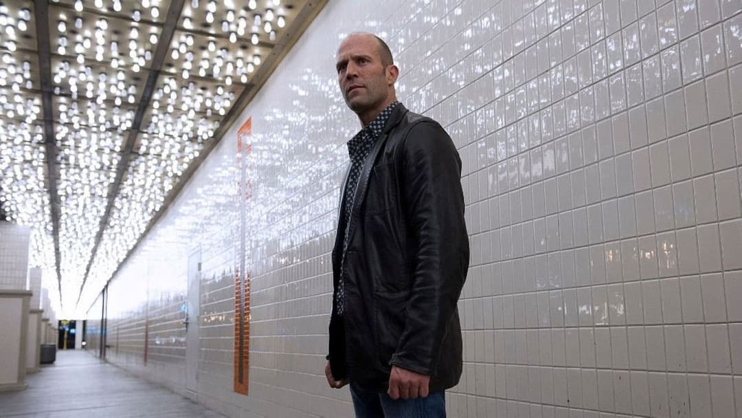 Wild Card backdrop 5