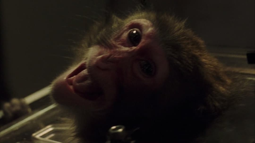 Фонтан backdrop 9