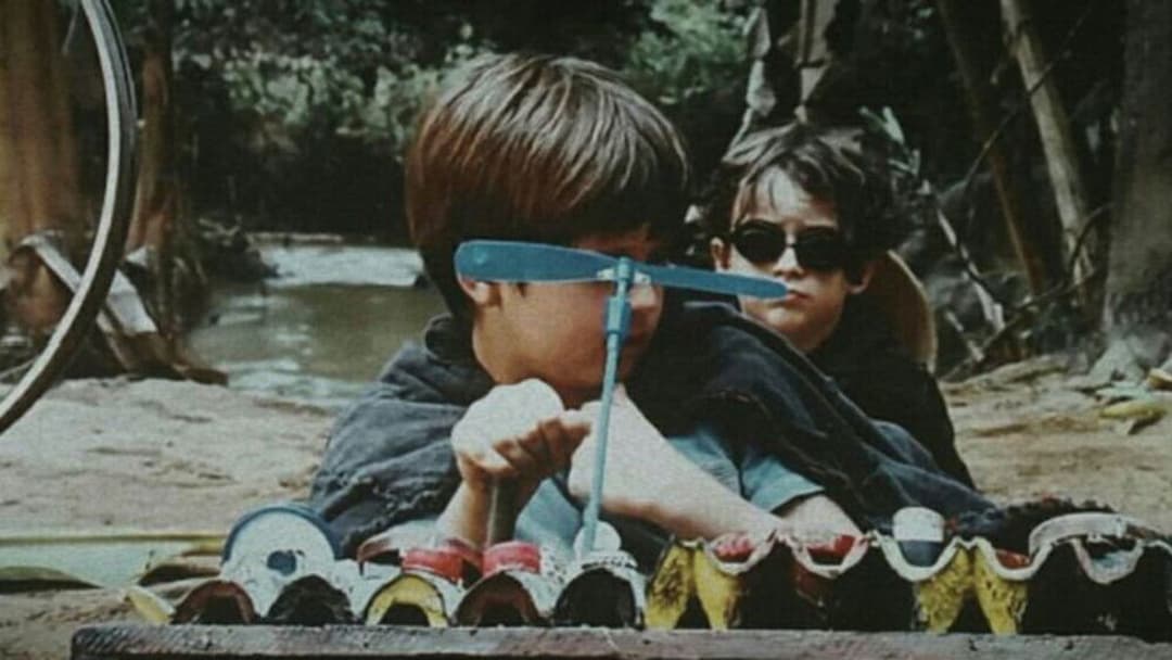 Mein kleiner Orangenbaum backdrop 6