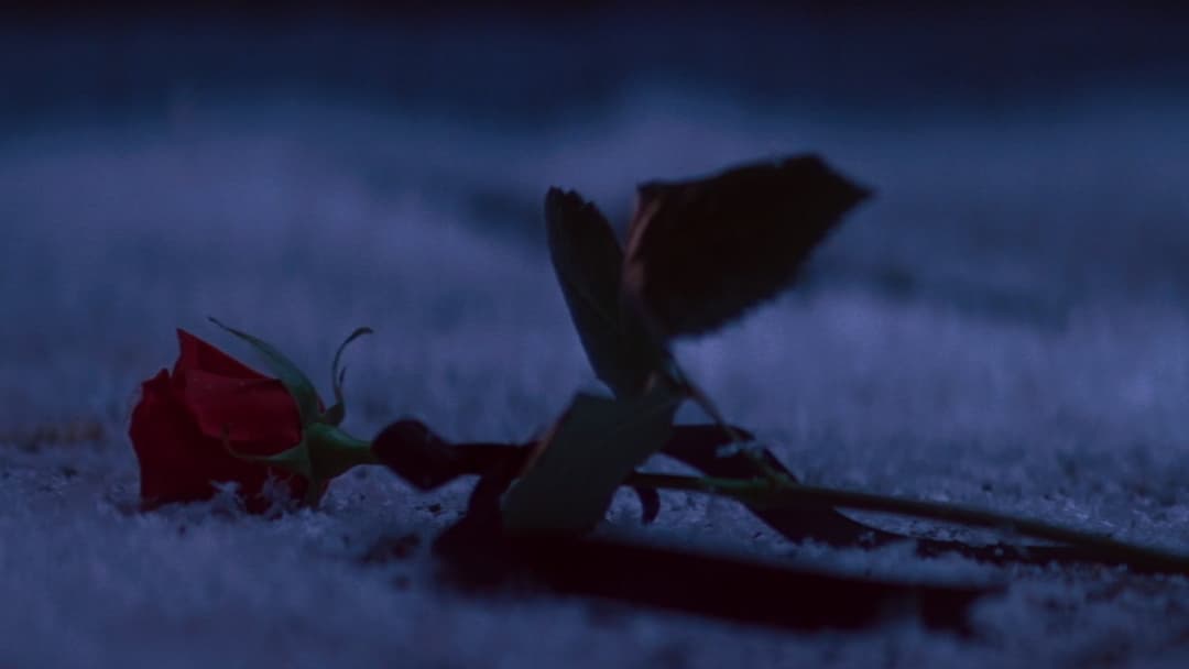 Das Phantom der Oper backdrop 12