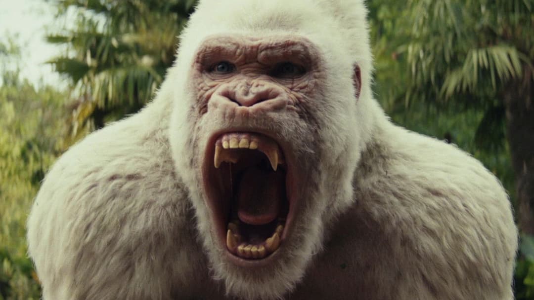 Rampage - Big meets Bigger backdrop 10