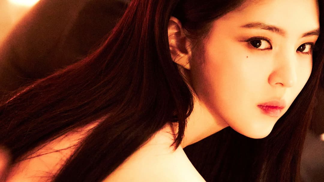 프로젝트 Y backdrop 17