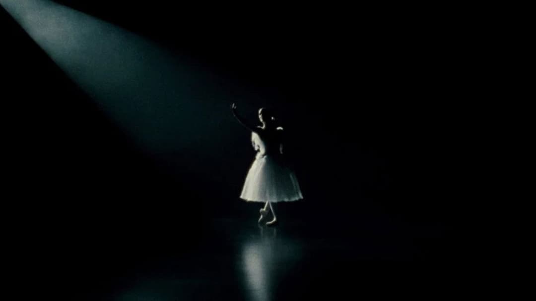 Black Swan backdrop 12