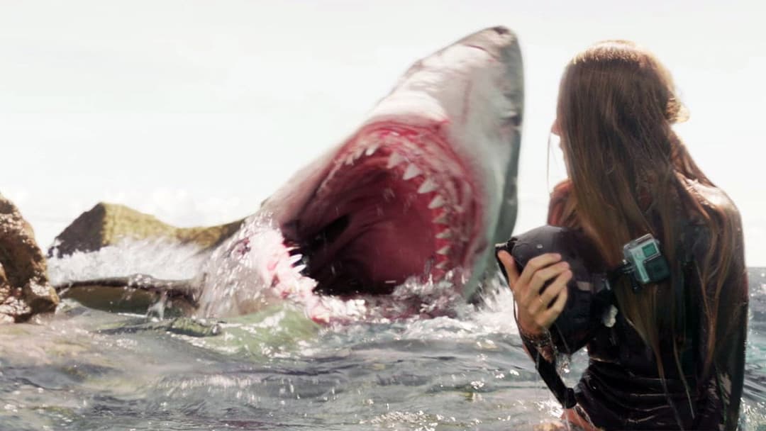 The Shallows backdrop 8