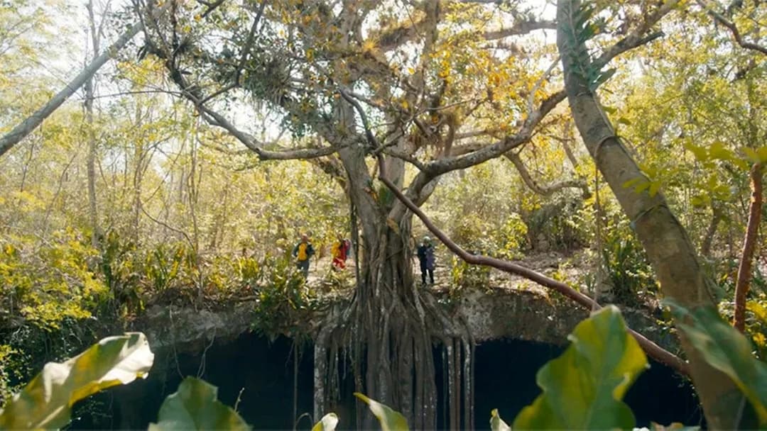 Underland backdrop 1