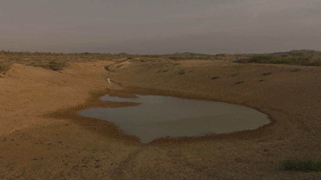 The Dream of Dancing