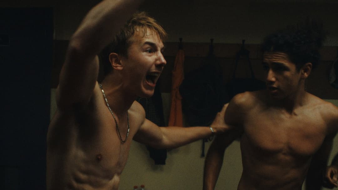 Wild Foxes backdrop 12